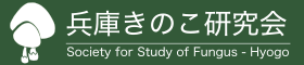 兵庫きのこ研究会test1